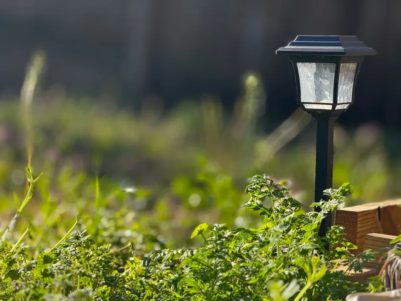Fixtures as Features: Elevating Solar Lighting from Functional Necessity to Landscape Design Element